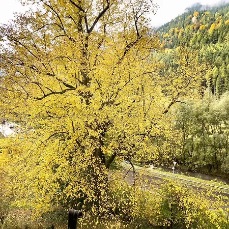 Apartamento Pircher Vordernberg