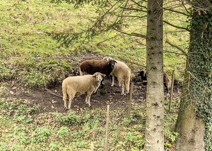 Pircher Appartement *